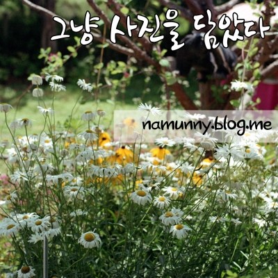 그냥 사진을 담았다 사진 1