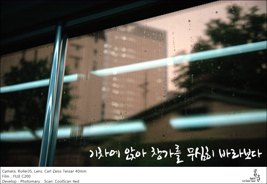 비가 촉촉히 내리면 사진 3