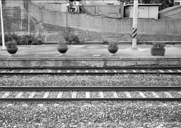 Rollei 35 · Carl Zeiss Tessar 40mm F3.5