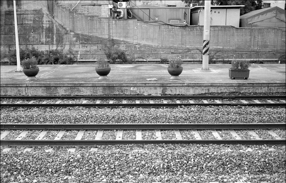 AGFA APX 100 Professional (아그파 흑백필름) 사진 4