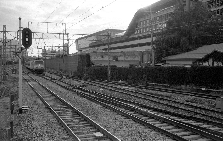 AGFA APX 100 Professional (아그파 흑백필름) 사진 5
