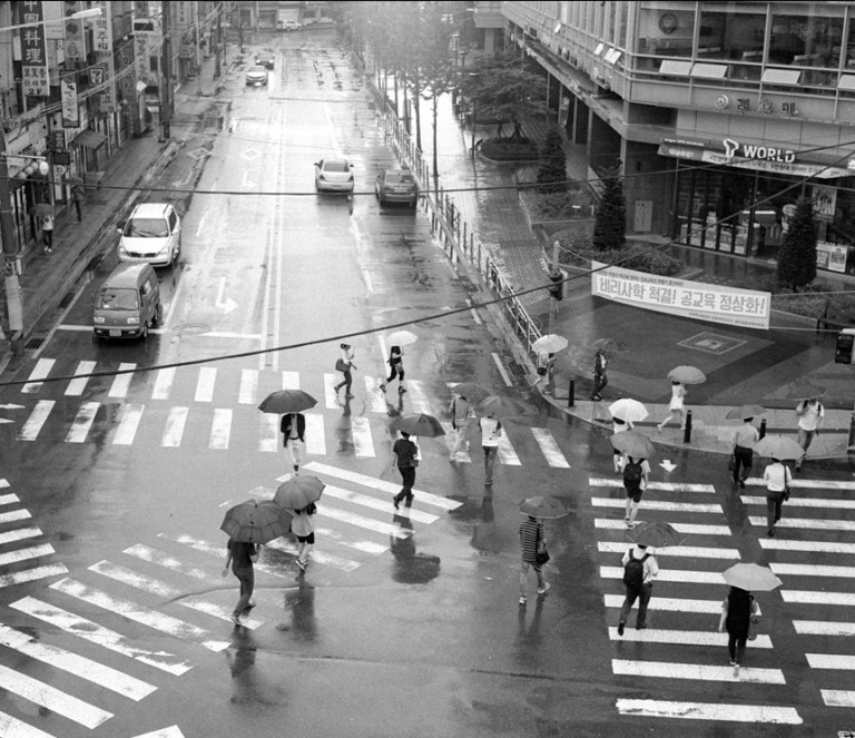 Rollei 35 · Carl Zeiss Tessar 40mm F3.5