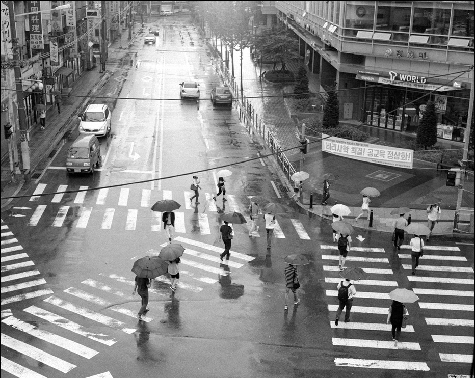 AGFA APX 100 Professional (아그파 흑백필름) 사진 6