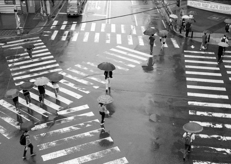 Rollei 35 · Carl Zeiss Tessar 40mm F3.5