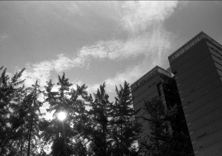 Rollei 35 · Carl Zeiss Tessar 40mm F3.5