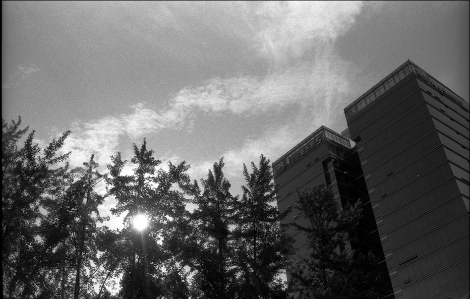 AGFA APX 100 Professional (아그파 흑백필름) 사진 11