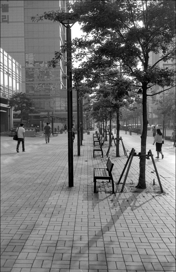 ROLLEI RPX 100 (롤라이 네가티브 흑백필름) 사진 5