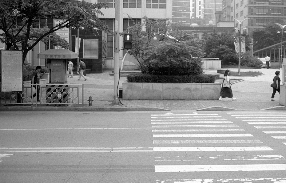 ROLLEI RPX 100 (롤라이 네가티브 흑백필름) 사진 9