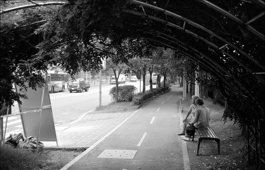 ROLLEI RPX 100 (롤라이 네가티브 흑백필름) 사진 10