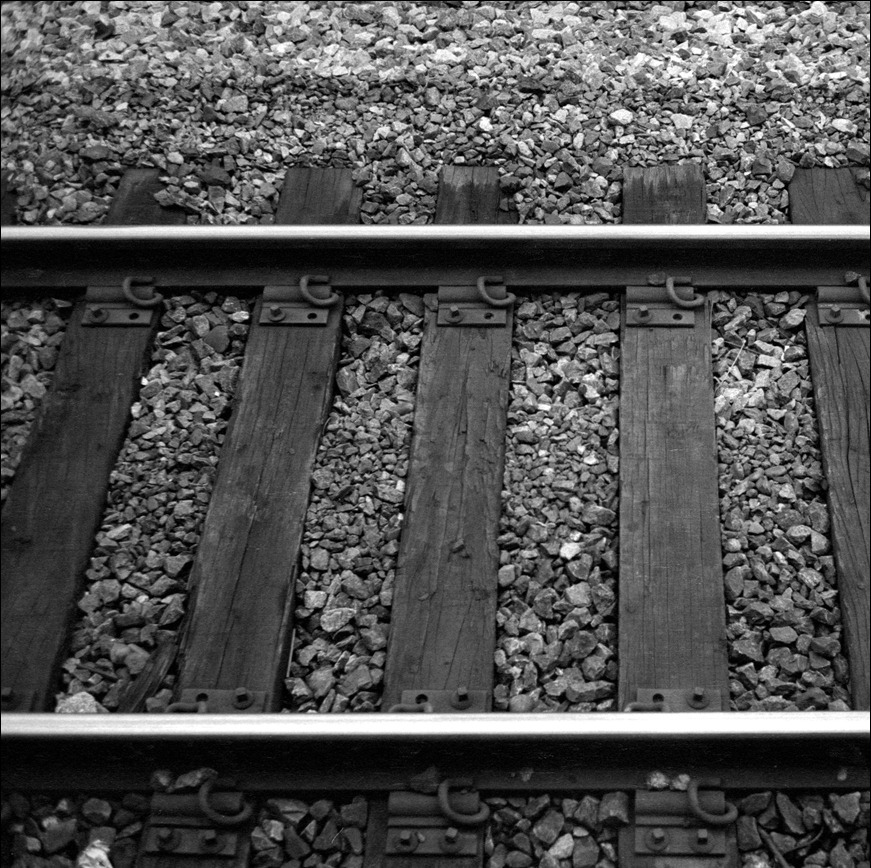 ROLLEI RPX 100 (롤라이 네가티브 흑백필름) 사진 11