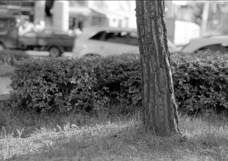 Nikon FM2 · Carl Zeiss Planar T* 50mm F1.4