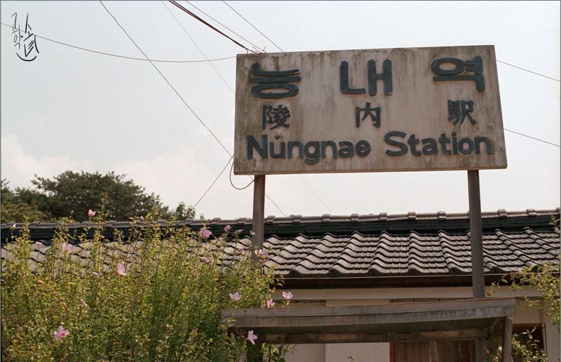 지난가을의 기억 사진 3