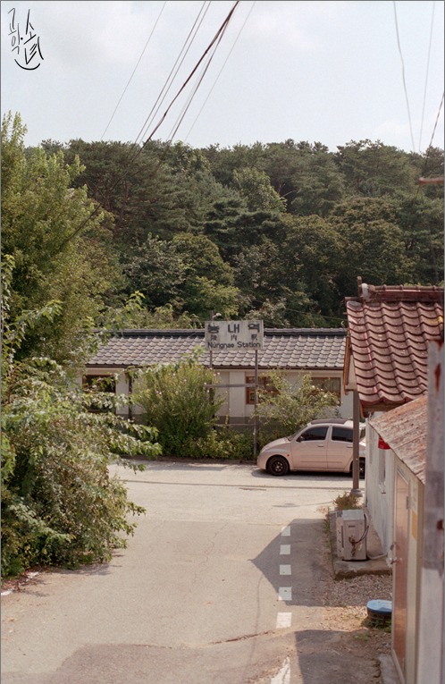 Nikon FM2 · Carl Zeiss Planar T* 50mm F1.4