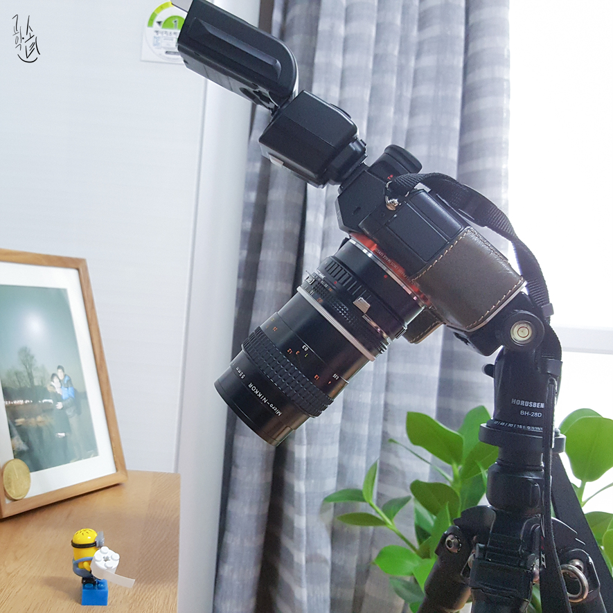 [렌즈 분해 청소] Nikkor-Macro MF 55mm F/2.8 ai-s