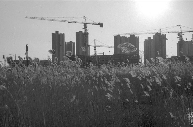 Rollei 35 · Carl Zeiss Tessar 40mm F3.5