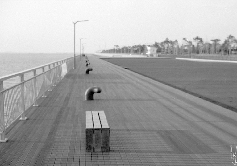 Rollei 35 · Carl Zeiss Tessar 40mm F3.5
