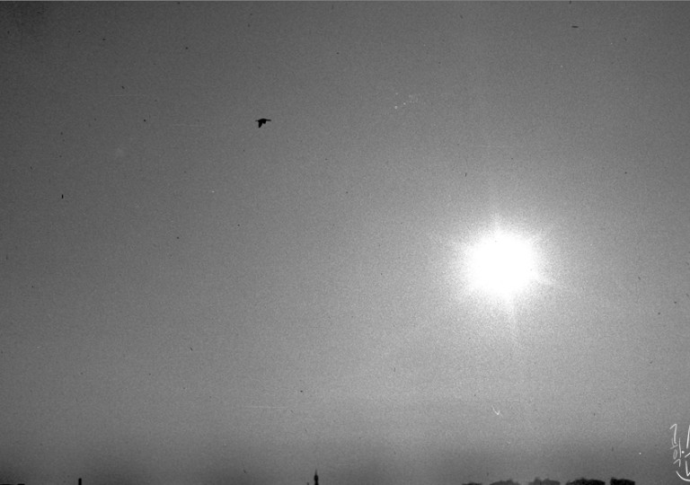 Rollei 35 · Carl Zeiss Tessar 40mm F3.5