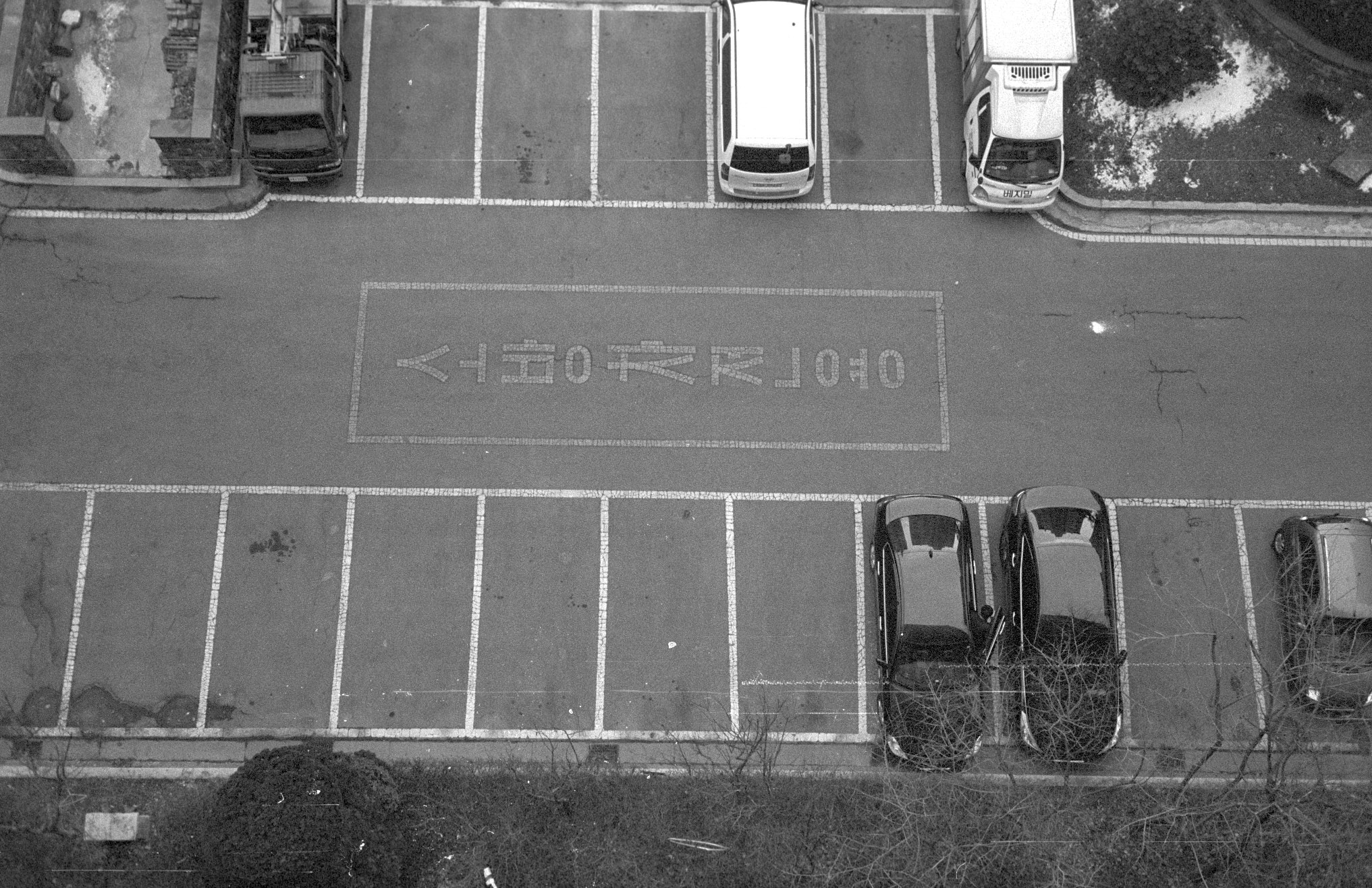 [Rollei35S] 조리개, 노출계 등 전체 오버홀