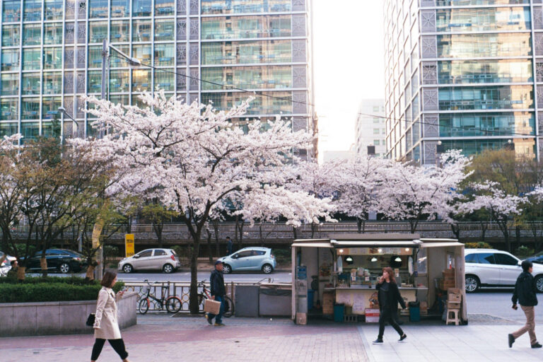 Rollei 35 · Carl Zeiss Tessar 40mm F3.5