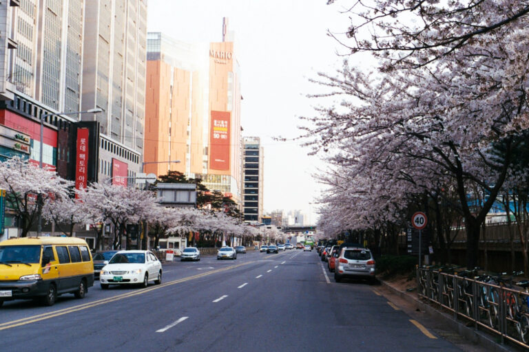 Rollei 35 · Carl Zeiss Tessar 40mm F3.5