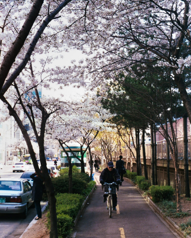 Rollei 35 · Carl Zeiss Tessar 40mm F3.5