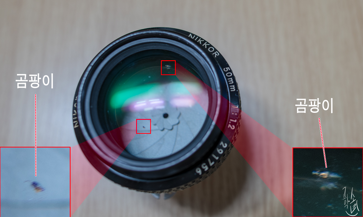 [렌즈 클리닝] Nikkor MF 50mm F/1.2 대물렌즈 곰팡이 제거