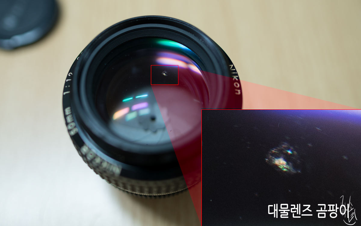 [렌즈 클리닝] Nikkor MF 50mm F/1.2 대물렌즈 곰팡이 제거