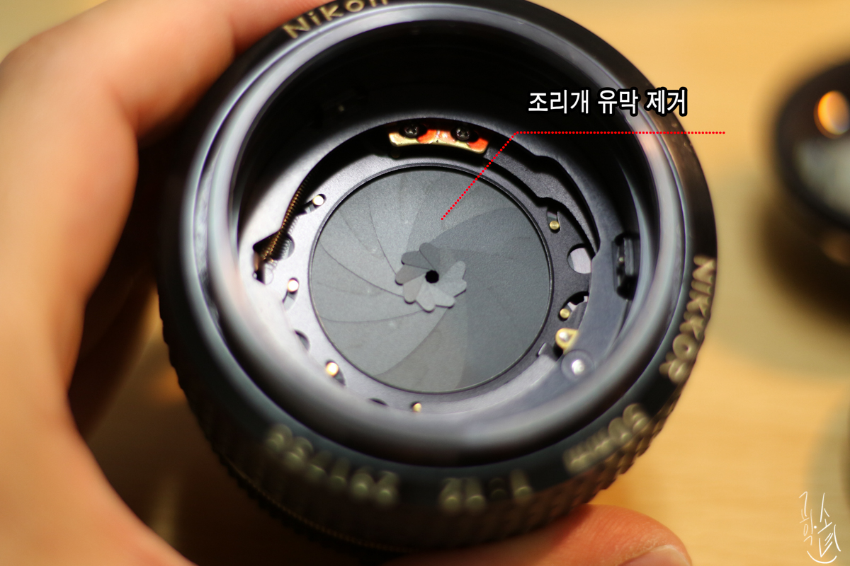 [렌즈 클리닝] Nikkor MF 50mm F/1.2 대물렌즈 곰팡이 제거