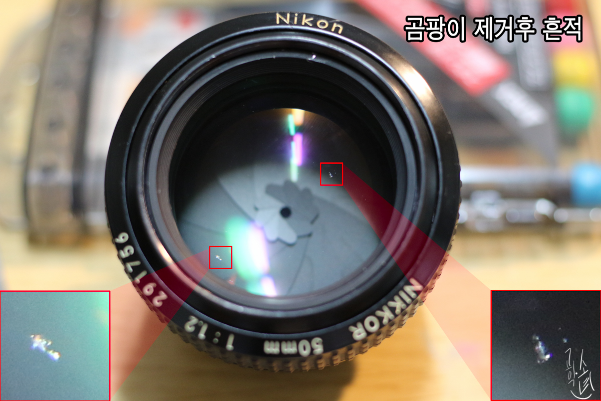 [렌즈 클리닝] Nikkor MF 50mm F/1.2 대물렌즈 곰팡이 제거