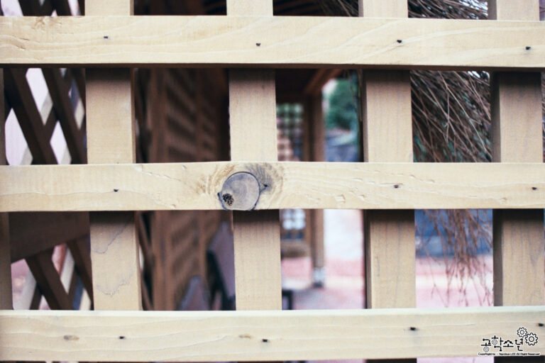 Nikon FM2 · Carl Zeiss Planar T* 50mm F1.4