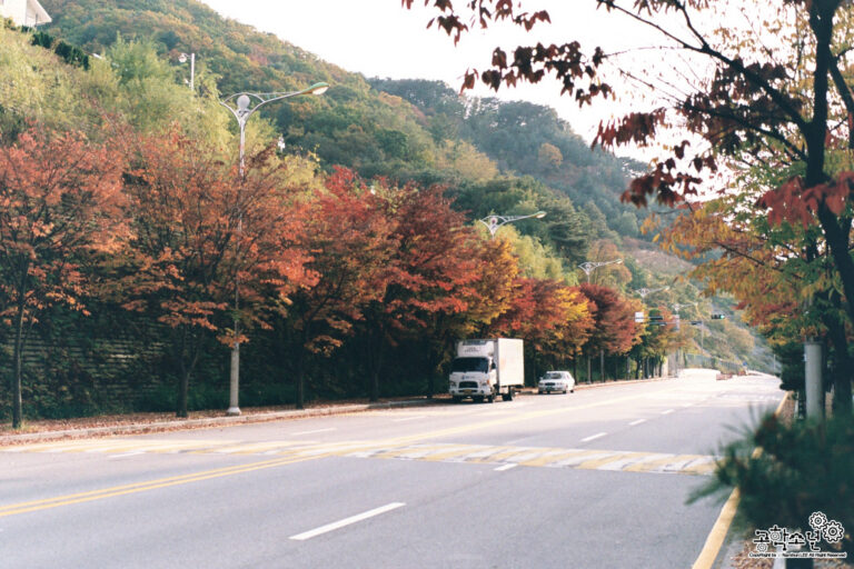 Nikon FM2 · Carl Zeiss Planar T* 50mm F1.4