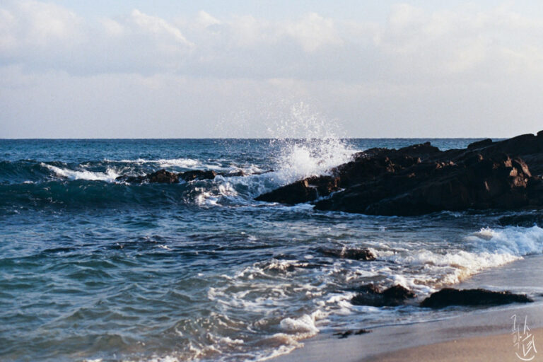 Nikon F3