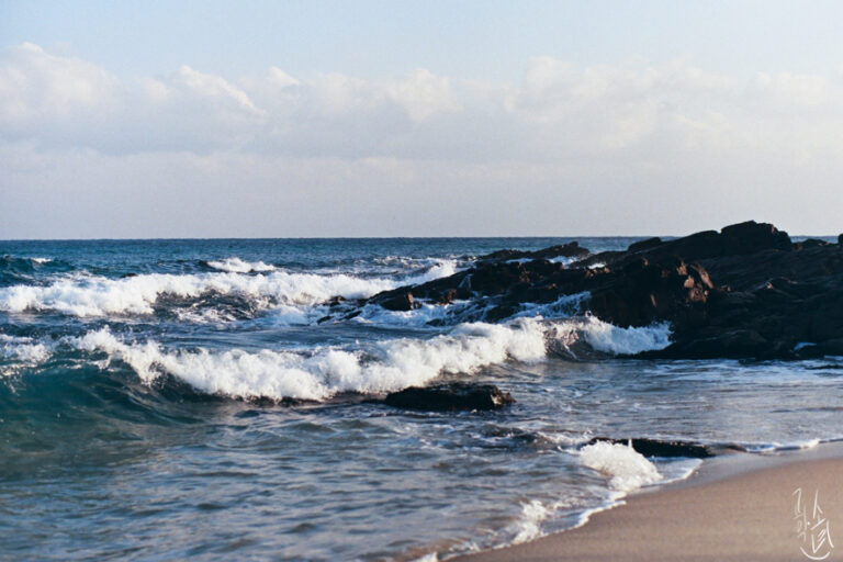 Nikon F3