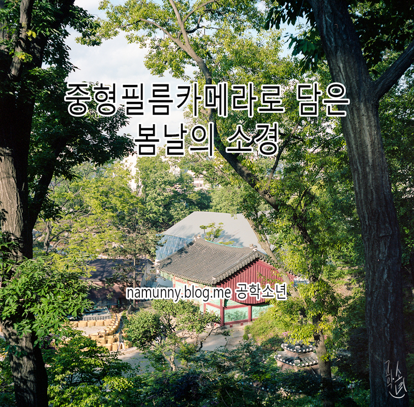봄날의 소경 사진 1