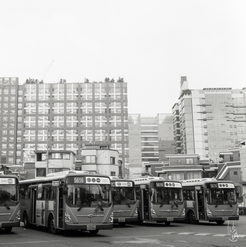 120mm 중형 흑백필름 자가현상 – 롤라이코드/Kodak TMAX/RXP100 사진 22