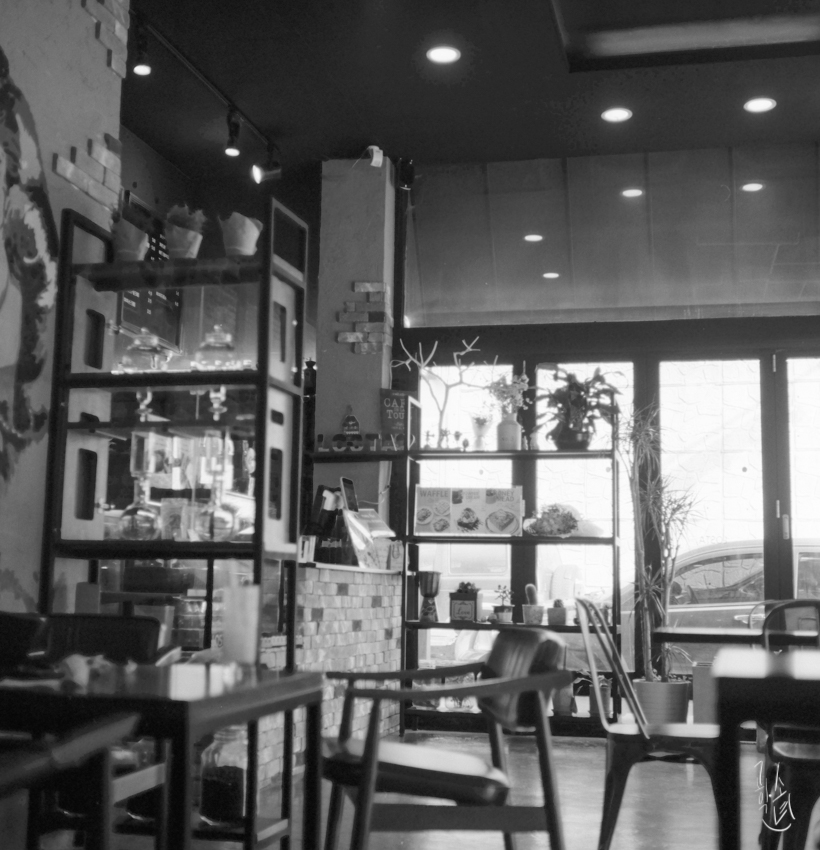120mm 중형 흑백필름 자가현상 – 롤라이코드/Kodak TMAX/RXP100 사진 23