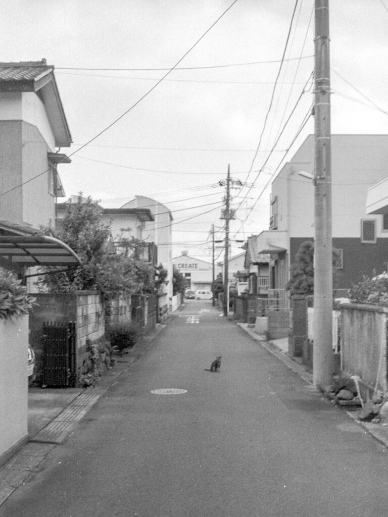Rollei 35 · Carl Zeiss Tessar 40mm F3.5