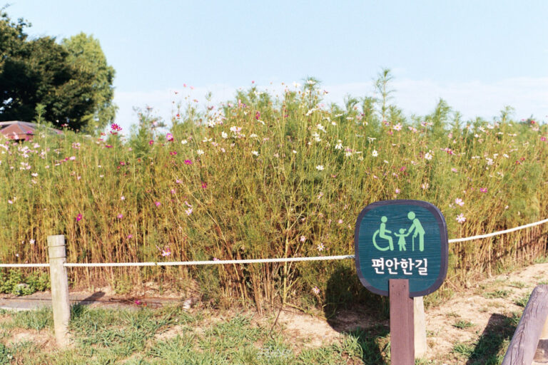 Nikon FM2 · Carl Zeiss Planar T* 50mm F1.4