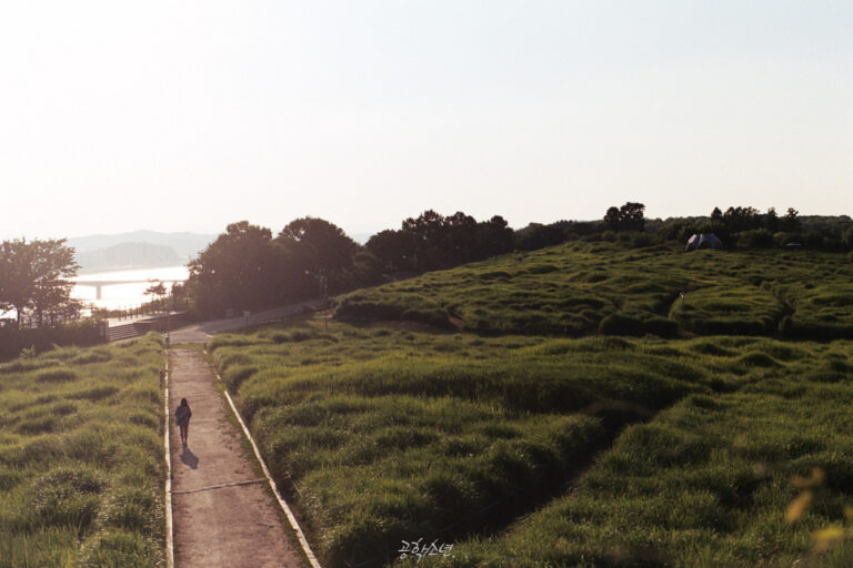 Nikon FM2 · Carl Zeiss Planar T* 50mm F1.4