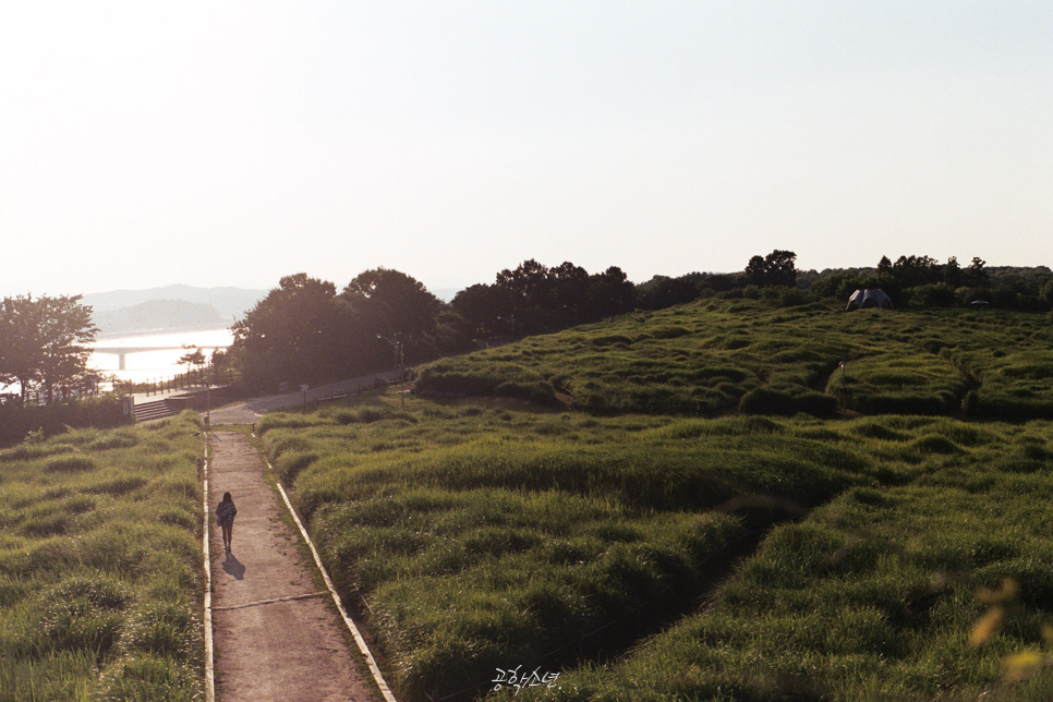 하늘공원 산책 / 슬로라이프 사진 8