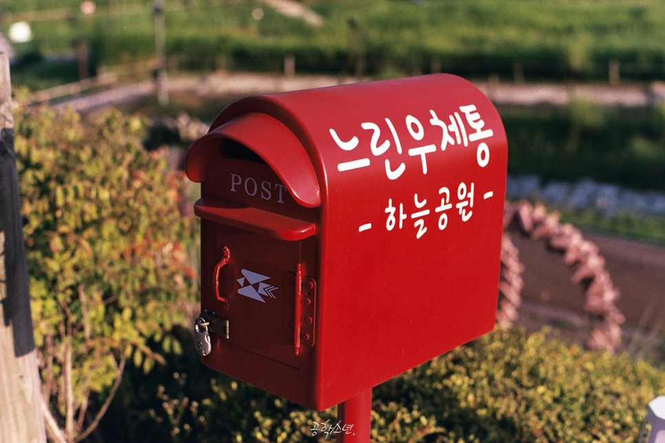 하늘공원 산책 / 슬로라이프 사진 4