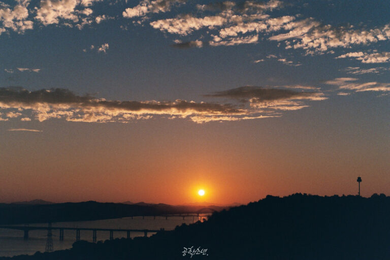 Nikon FM2 · Carl Zeiss Planar T* 50mm F1.4