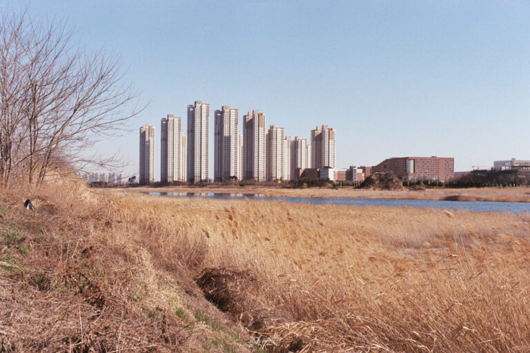 Rollei 35 · Carl Zeiss Tessar 40mm F3.5