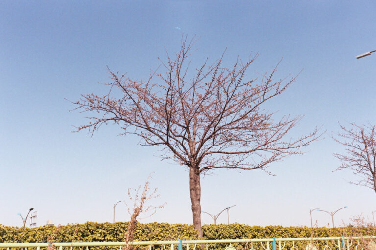Rollei 35 · Carl Zeiss Tessar 40mm F3.5