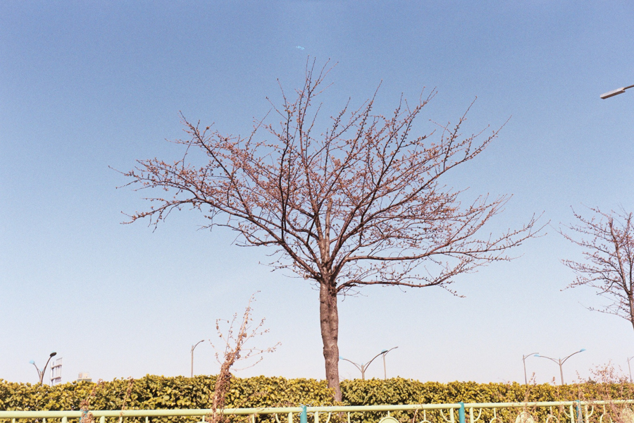 따스한 봄날, 2019 사진 4