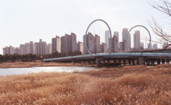 따스한 봄날, 2019