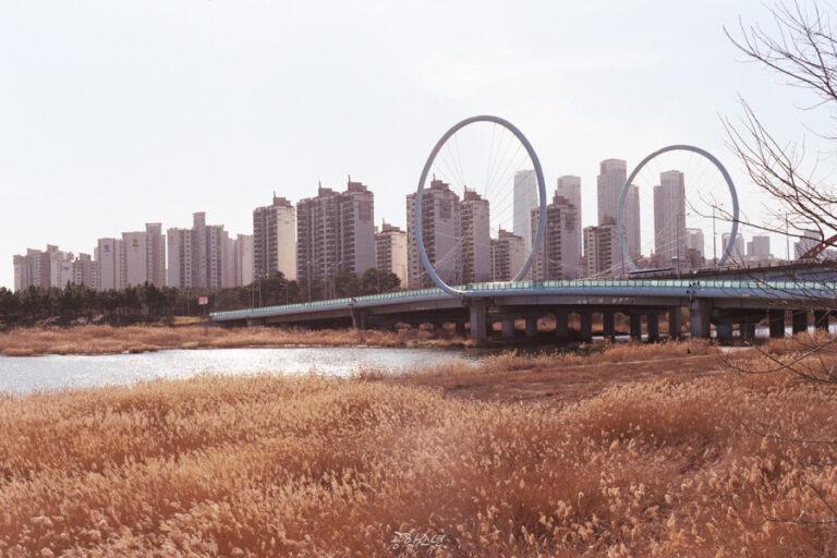 따스한 봄날, 2019