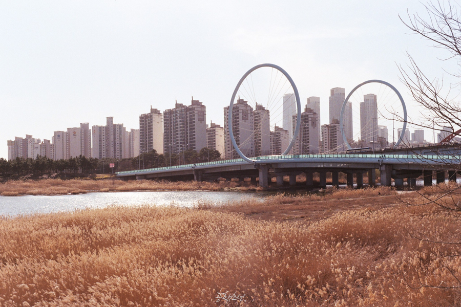 따스한 봄날, 2019 사진 2