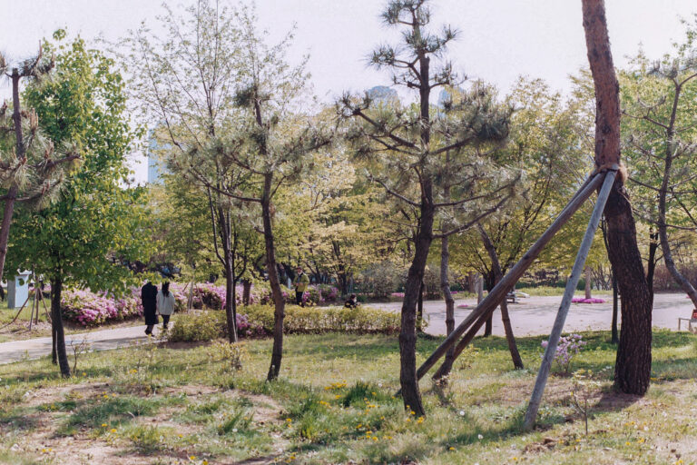 Leica M3 · Voigtlander Nokton 40mm F1.2