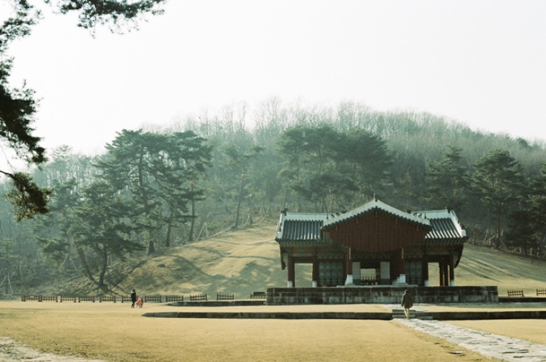 Nikon FM2 · Carl Zeiss Planar T* 50mm F1.4
